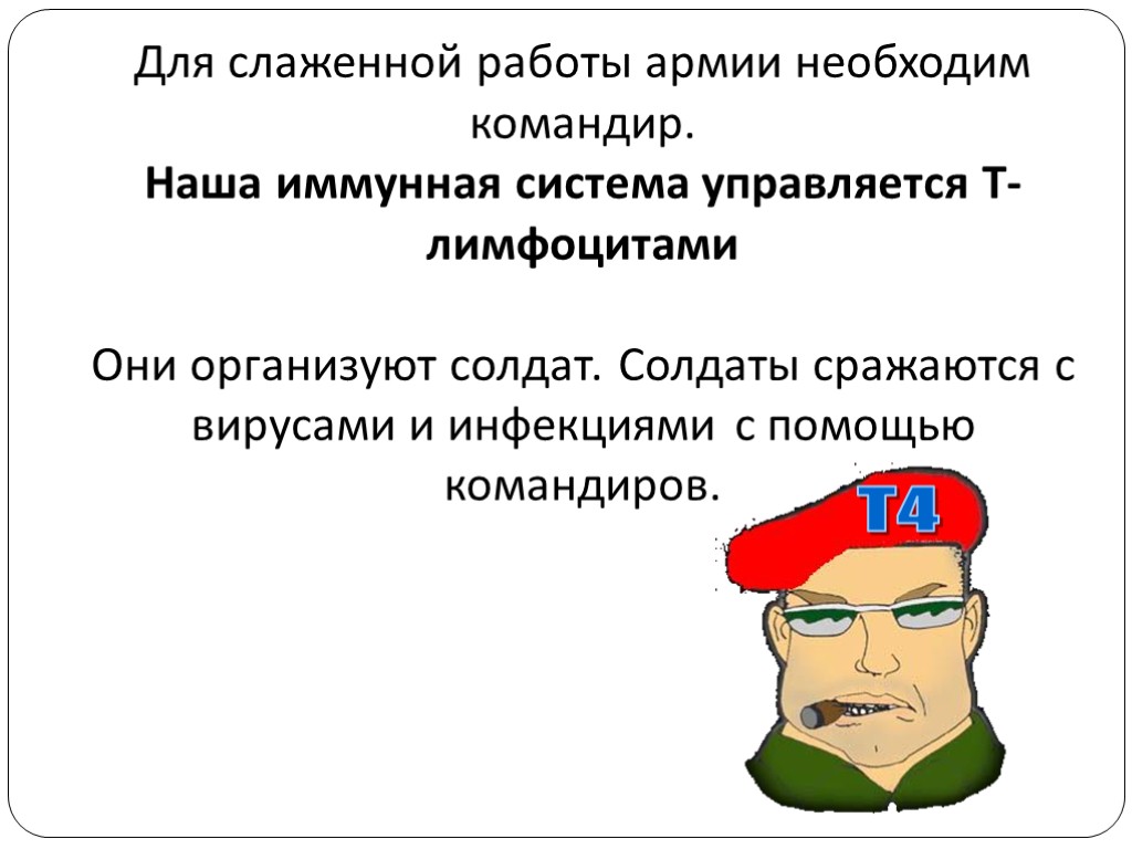 Для слаженной работы армии необходим командир. Наша иммунная система управляется Т-лимфоцитами Они организуют солдат.